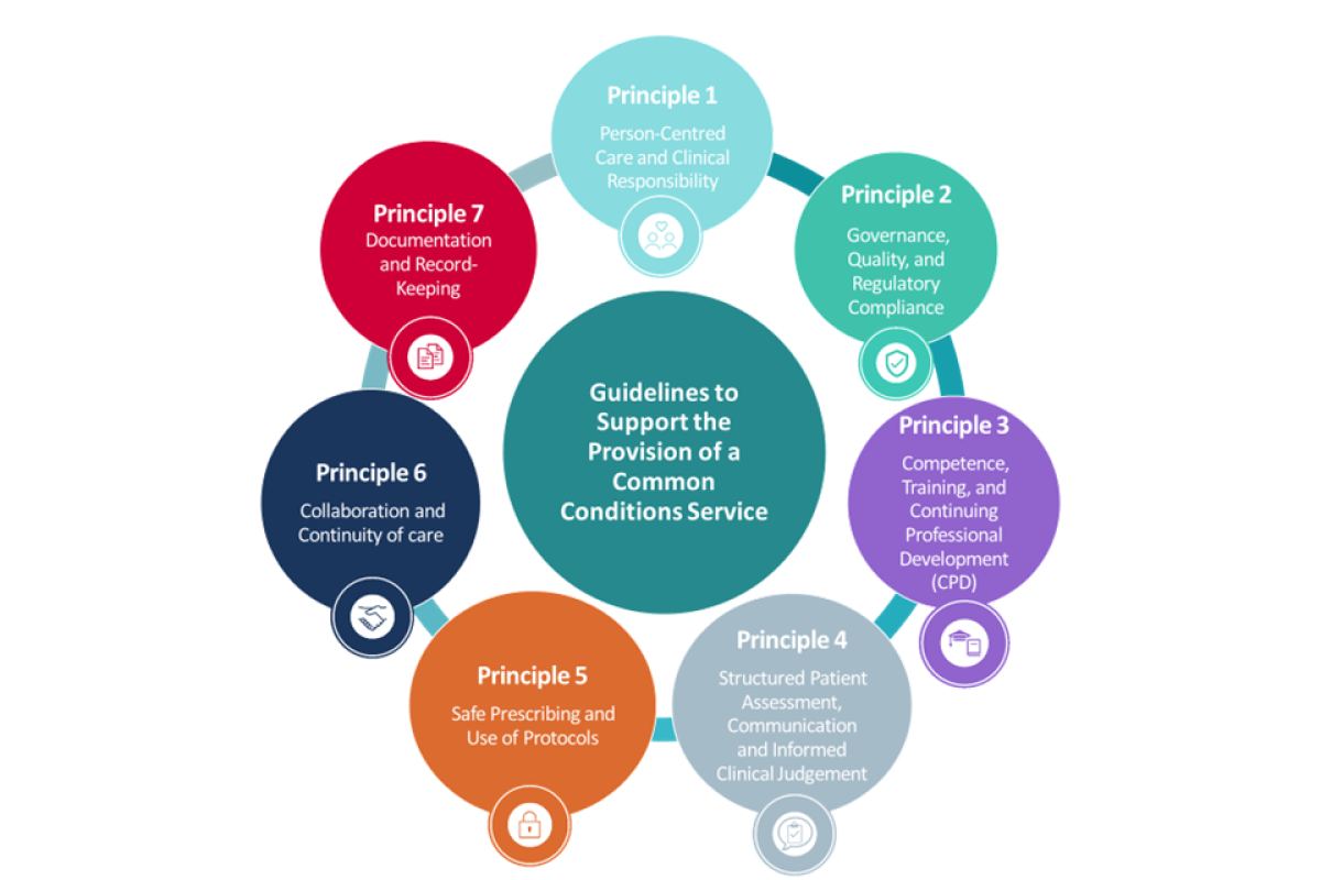 Guidelines to Support the Provision of a Common Conditions Service