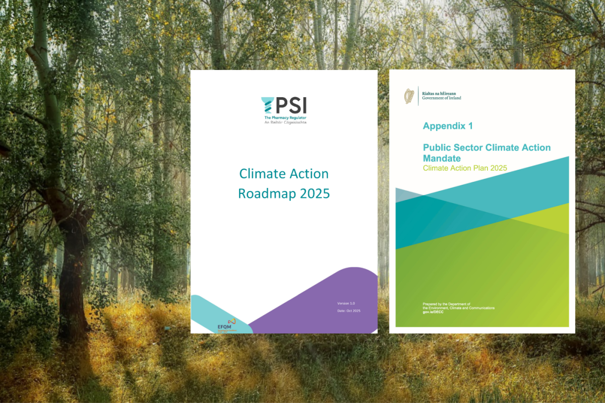 Cover pages of two documents: ‘Climate Action Roadmap 2025’ and ‘Public Sector Climate Action Mandate’